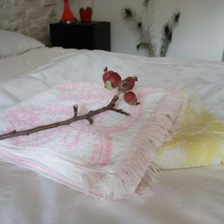 Grandpa'S Room Sighisoara Ngoại thất bức ảnh