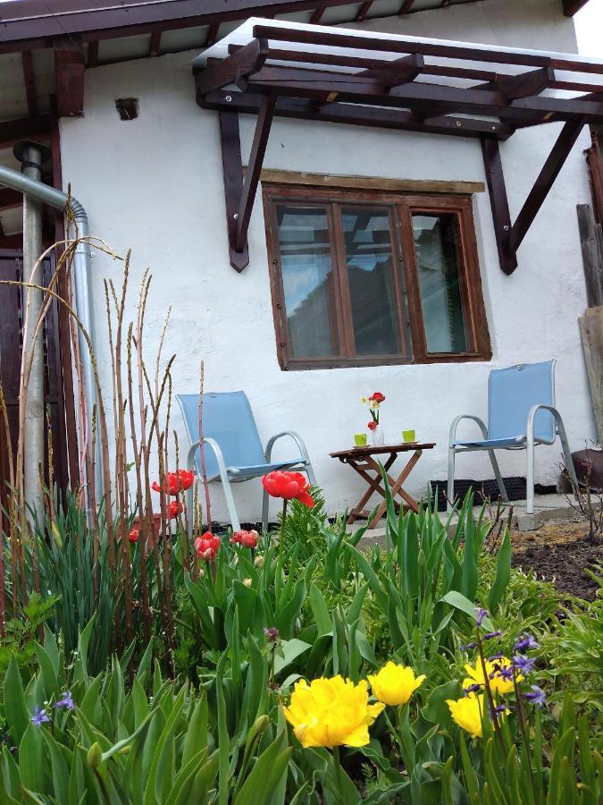 Grandpa'S Room Sighisoara Ngoại thất bức ảnh